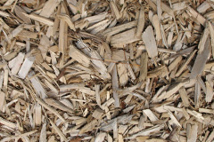 biomass boilers Geseilfa