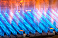 Geseilfa gas fired boilers